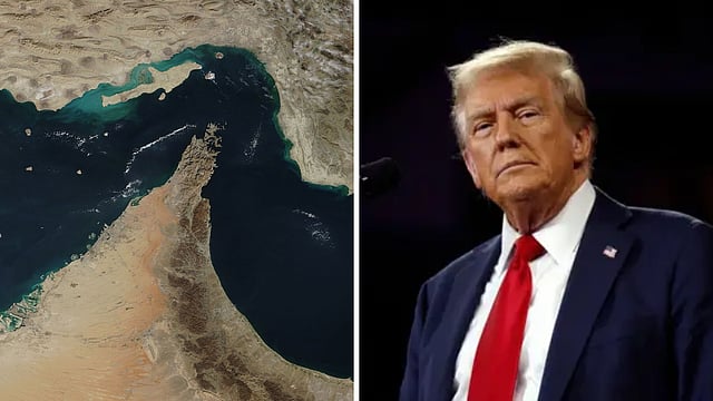 ஹார்முஸ் - ட்ரம்ப்