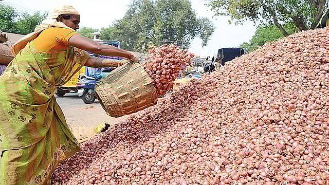 Shallot (small onion) 