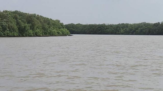 Muthupettai Mangrove, Thiruvarur 