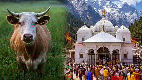 கங்கோத்ரி கோயில்