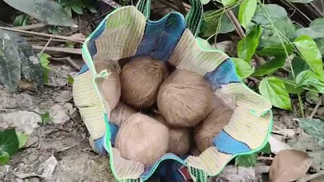 நாட்டு வெடிகுண்டுகள்