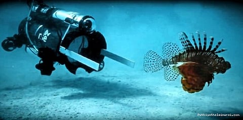 மீன் பிடிக்கும் ரோபோ