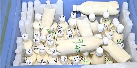 பால் மாதிரிகளில் தரம் குறைவு - அதிகாரிகள் ஆலோசனை