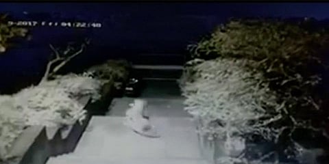 "பெண்கள் விடுதியில் வேட்டையாடிய சிறுத்தை"