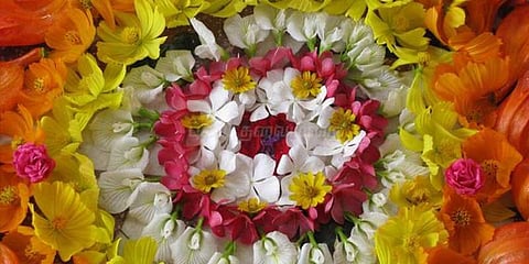 ஓணம் பண்டிகை கொண்டாட்டம் : தேவாளை பூ விற்பனை அமோகம்