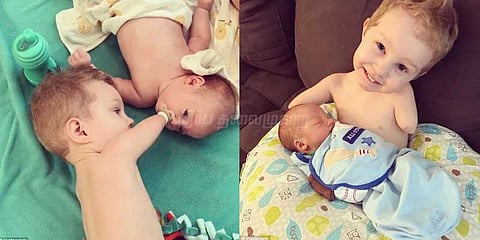 அண்ணன் தம்பி பாசத்தைக் காட்டும் அற்புத வீடியோ