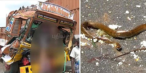 பாம்பை காப்பாற்ற பிரேக் போட்டதால் விபரீதம்: லாரி டிரைவர், கிளீனர் உயிரிழப்பு 