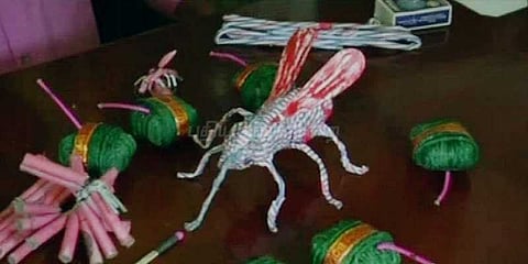 டெங்கு விழிப்புணர்வுக்காக கொசுக்கள் வடிவில் பட்டாசுகள்