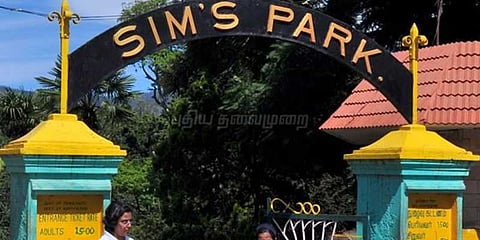 பழங்கள் விளைச்சல் அதிகரிப்பு: ஜாம் தயாரிக்கும் பணி தீவிரம்