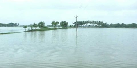 பொதுப்பணித்துறையினர் அலட்சியம்: மழை நீரில் மூழ்கிய பயிர்கள்