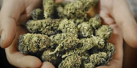 கோவையில் கஞ்சா விற்றவருக்கு அடி உதை