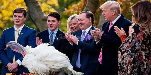 இரு வான்கோழிகளுக்கு மன்னிப்பு வழங்கிய ட்ரம்ப்