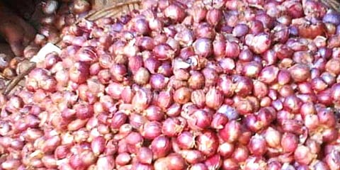 விதை வெங்காயம் விலை உயர்ந்தது 