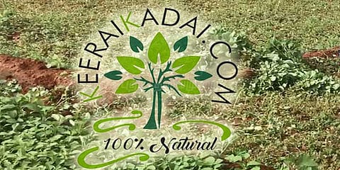 ‘கீரைக்கடை.காம்’ ஆன்லைனில் கீரை விற்கும் கோவை இளைஞர்