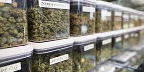 கலிஃபோர்னியாவில் மருத்துவத்திற்காக பயன்படும் போதைப்பொருள்