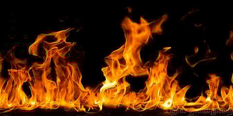 தீயை அணைக்க மைதா?: புதிய யோசனை