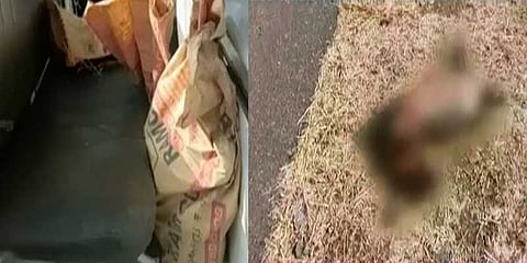 மருதாணியுடன் வெட்டப்பட்ட கை! பெண் கொடூர கொலை..