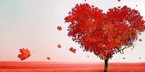 “கண்முன்னே ஒரு… காதல் தேசம்!”