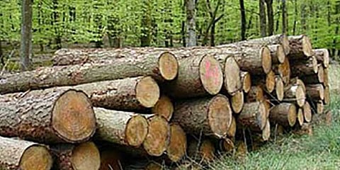 திருடுவது அவங்க.. சிக்குவது நாங்களா..?: பொதுமக்கள் கோபம்  