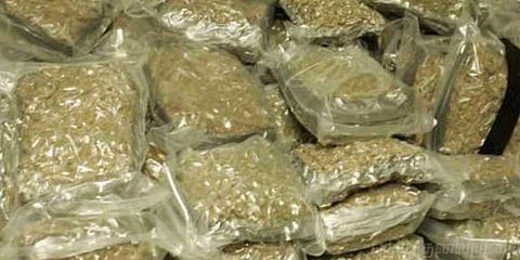 தார்ப்பாயால் மறைத்து கொண்டு வரப்பட்ட 230 கிலோ கஞ்சா - இருவர் கைது