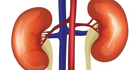 பெண்களை குறிவைத்து நடக்கும் ஆன்லைன் “கிட்னி”மோசடி