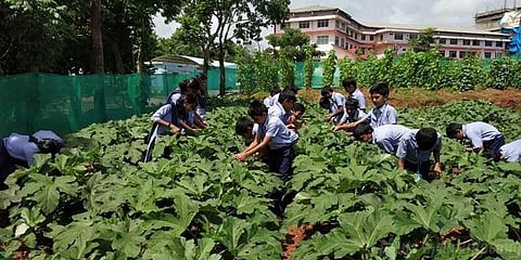 ’தக்காளி எங்க இருந்து வருது?’: பதில் சொன்ன மாணவனால் கட்டாயமான விவசாய பாடம்!