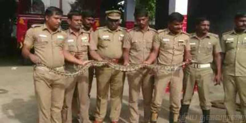 தோட்டத்து கிணற்றில் மலைப்பாம்பு : அலறிய உரிமையாளர்