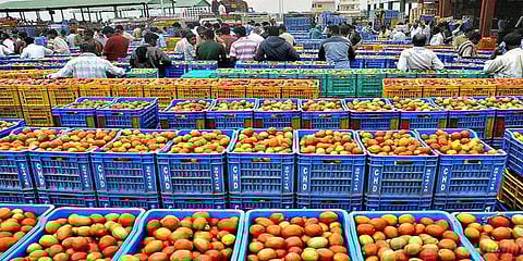 சாலையில் கொட்டப்படும் தக்காளி ! வேதனையில் விவசாயிகள்