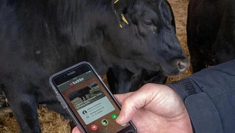 கால்நடைகள் இனப்பெருக்கத்துக்காக ஒரு புதிய செயலி !