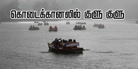 கொடைக்கானலில் தொடரும் மழை ! 