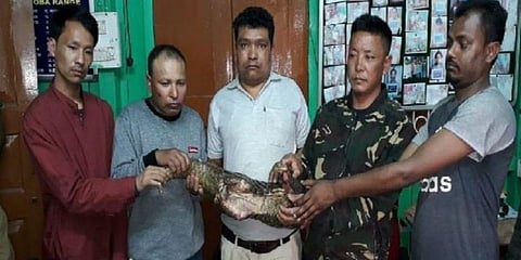 எறும்புத்திண்ணியை குறிவைத்து நடக்கும் கடத்தல் வியாபாரம்: 5 பேர் கைது