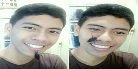 சமூக வலைத்தளங்களில் ட்ரெண்ட் ஆகும் ‘காக்ரோச் சேலஞ்ச்’