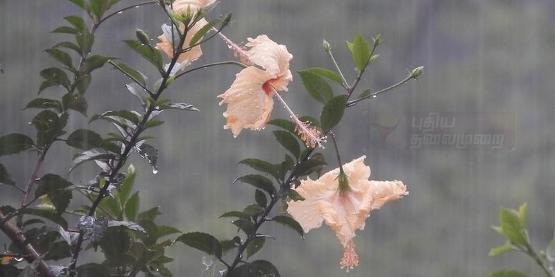 கொடைக்கானல், மதுரையில் கனமழை : விவசாயிகள், மக்கள் மகிழ்ச்சி