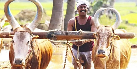 இது டிரெண்ட்: விவசாயத்துக்கு மாறும் தமிழ் சினிமா