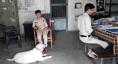 குடும்பமே சிறையில்: ஆதரவற்ற செல்லப்பிராணியை அரவணைத்த போலீஸ்