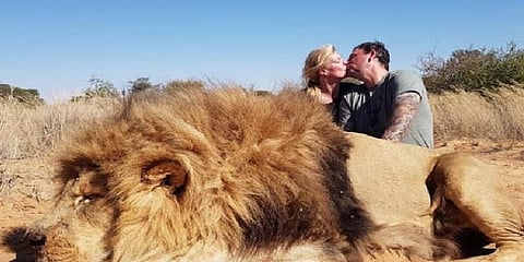 சிங்கத்தை வேட்டையாடிய தம்பதி: சமூக வலைதளங்களில் வலுக்கும் எதிர்ப்பு