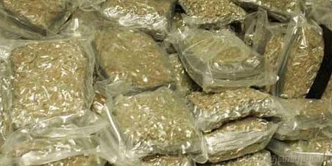 எழும்பூரில் கஞ்சாவுடன் சுற்றித்திரிந்த 4 பேர் கைது