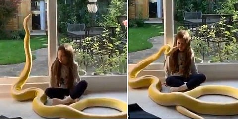 சிறுமிக்கு முத்தமிட்டு கொஞ்சி விளையாடும் அனகோண்டா - ஒருகோடி பேர் பார்வையிட்ட வீடியோ