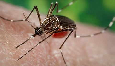 உறையூரில் ஒருவருக்கு டெங்கு காய்ச்சல் இருப்பது உறுதி