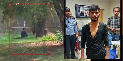 சிங்கத்துக்கு அருகில் சென்று பேசிக்கொண்டிருந்த இளைஞர் - வீடியோ!