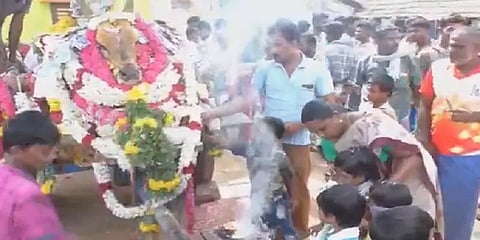 ஜல்லிக்கட்டு காளைக்கு  இறுதிச் சடங்கு - ஊரடங்கை மீறியதாக 7 பேர் மீது வழக்குப்பதிவு