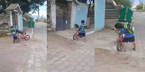 நாய்க்குட்டிக்கு மாஸ்க் அணிவித்து சைக்கிளில் கூட்டிச்சென்ற சிறுவன் - வைரல் வீடியோ