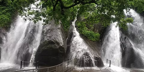 மேற்குத் தொடர்ச்சி மலைப்பகுதியில் தொடர் மழை; குற்றாலத்தில் ஆர்ப்பரிக்கும் அருவி