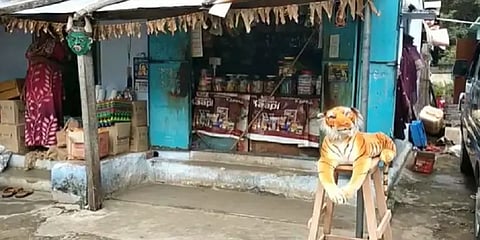 ஐய்யோ புலியா.. தெறிச்சு ஓடும் குரங்குகள் - கிராம மக்களின் கெத்தான முயற்சி!