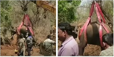 தருமபுரி: மக்களை அச்சுறுத்தி வந்த காட்டு யானை - மயக்க ஊசி செலுத்திப் பிடித்த வன அதிகாரிகள்