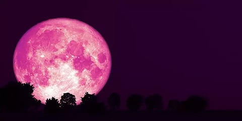 வானில் இன்று தோன்றும் "ஸ்ட்ராபெரி மூன்" - நிறமாற்றத்திற்கு காரணம் என்ன?