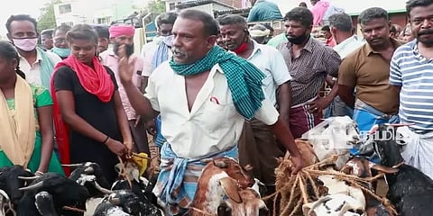 புகழ்பெற்ற எட்டயபுரம் ஆட்டுச் சந்தையின் சிறப்பு என்ன? - ஒரு ஸ்பாட் விசிட்