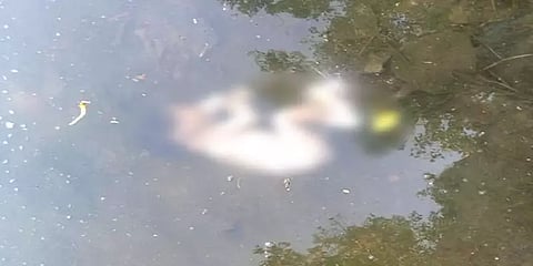 மயிலாடுதுறை: பிறந்து சிலமணி நேரமேயான ஆண் குழந்தையை குளத்தில் வீசிச்சென்ற கொடூரம்