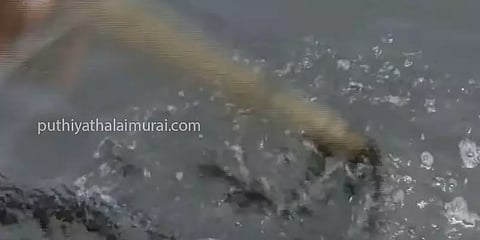 சாம்பல் வனமாக மாறிய எண்ணூர் கழிவெளி பகுதி - கேள்விக்குறியாகும் சுற்றுச்சூழல் பாதுகாப்பு