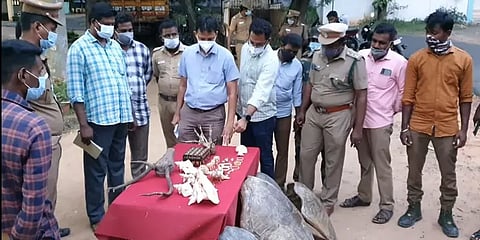 நாகர்கோவில்: வனவிலங்கு பாகங்களால் ஆன கைவினைப் பொருட்கள் விற்பனை; 3 பேர் கைது